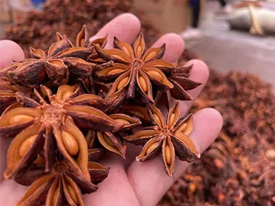 Algumas frutas orgânicas Staranise de qualidade premium acabou de ser colhido.