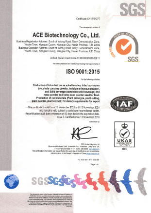 ACE-ISO9001