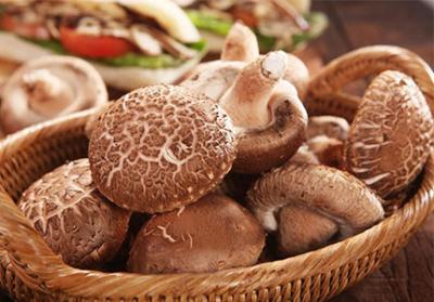 Explorando os benefícios do extrato de pó de cogumelo Shiitake