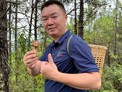 ACE fez um passeio de exploração de cogumelos selvagens ao redor da montanha Shangri-La.