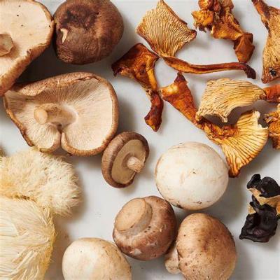 Novo estudo descobre que os cogumelos são tão eficazes quanto os suplementos de vitamina D