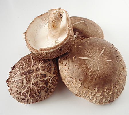 Explorando os benefícios para a saúde do extrato de pó de cogumelo Shiitake