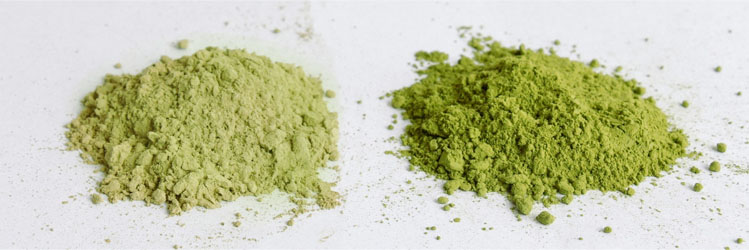 Ceremonial_Grade_Matcha_VS_Culinary_Grade_Match-1.jpg