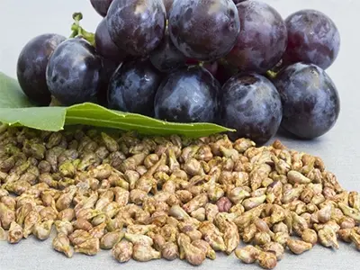 Quais são os efeitos do extrato de semente de uva?