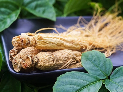 Qual é o efeito do extrato de panax ginseng?