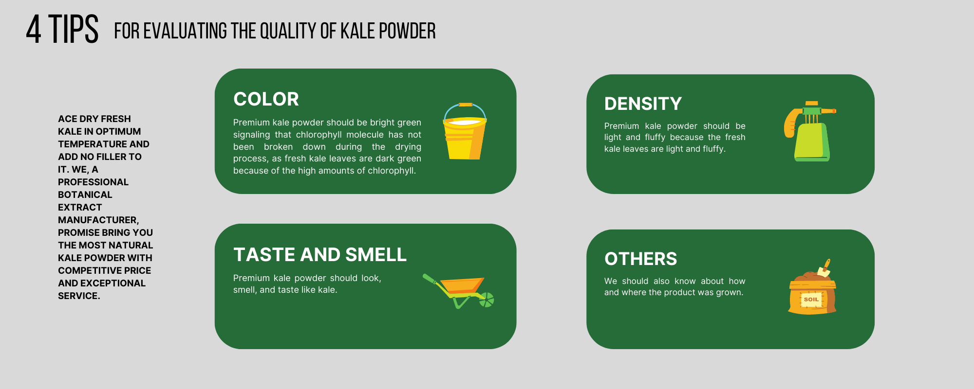 4_Tips_For_Evaluating_The_Quality_Of_Kale_Powder-1.png