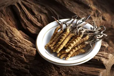 Aumentando a energia e a resistência: como o extrato de Cordyceps Sinensis pode ajudar