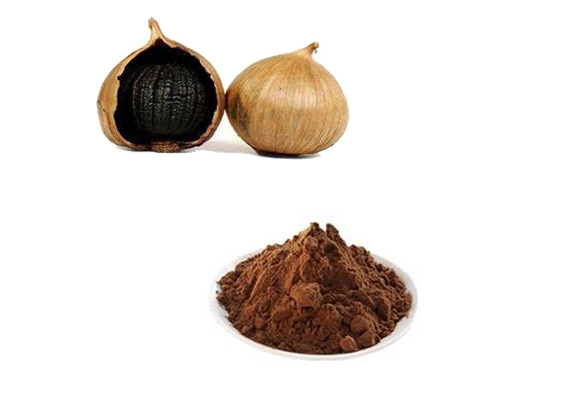 organic black garlic powder