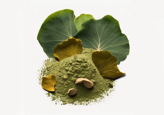 lotus leaf powder extract