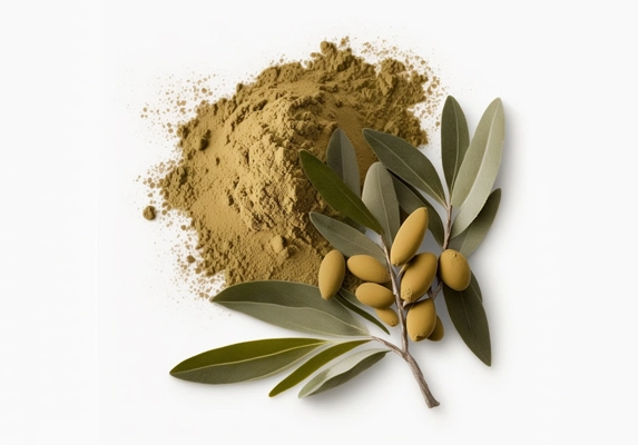 olive leaf extract 4