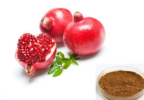pomegranate extract wholesale